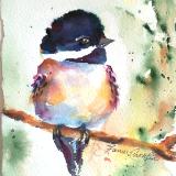Chickadee-dee-dee