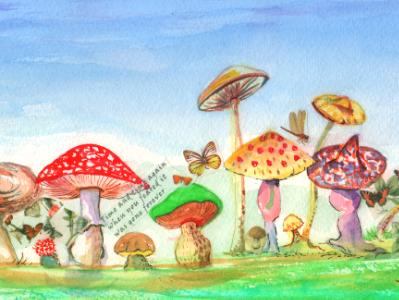 Toadstool garden 