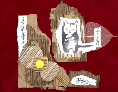 Cat on cardboard