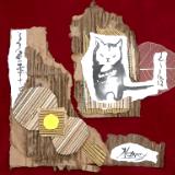 Cat on cardboard