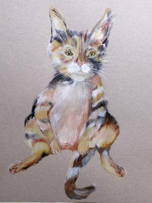 Calico Kitty