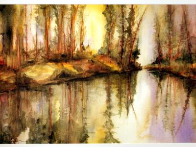 Australia - reflections of wooded dreams