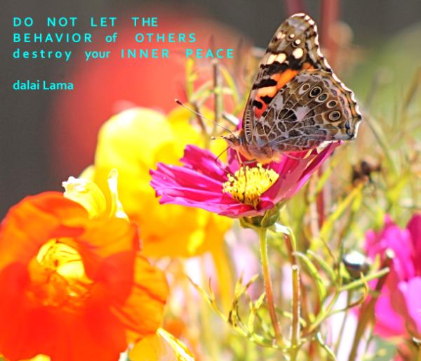 Garden of inner peace