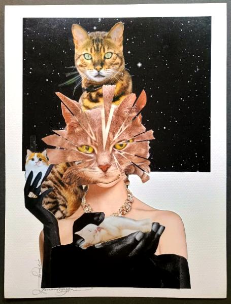 Astral Cats