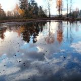 Reflections