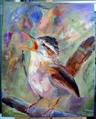 Marsh Wren 