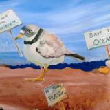plover