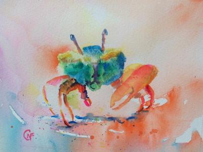 Little fiddler crab