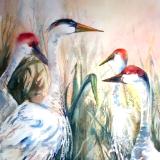 Birds of a Feather
